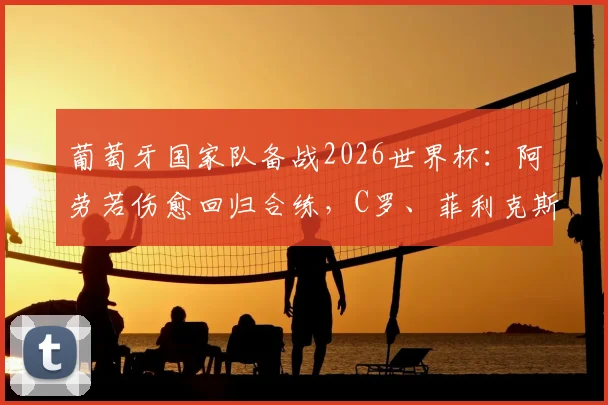 葡萄牙国家队备战2026世界杯：阿劳若伤愈回归合练，C罗、菲利克斯场边观训引关注，最新训练动态解析