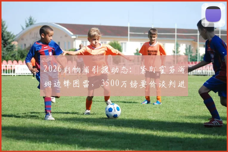 2026利物浦引援动态：紧盯霍芬海姆边锋图雷，3500万镑要价谈判进行中